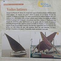 La voile latine