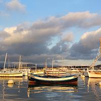 Pointu toulonnais dans le port du Brusc